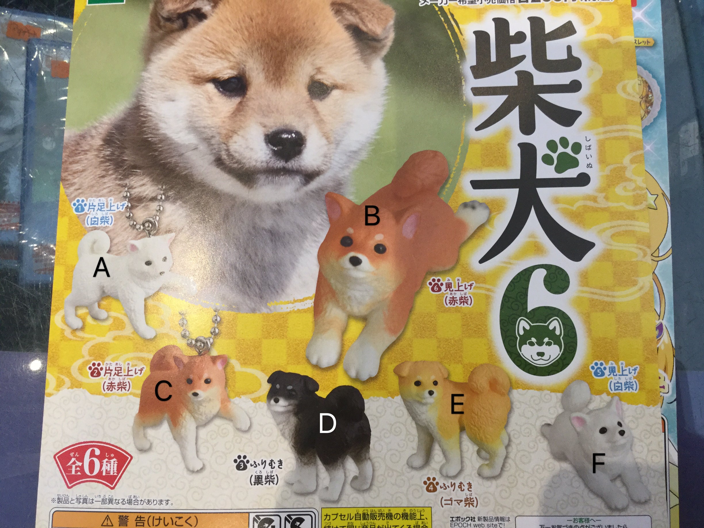 Gashapon Shiba Inu Figure Keychain 6 Pieces Set (In-stock) – Gacha