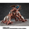 Sofvi spirit Hakuja Limited  (Pre-Order)