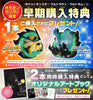 3DS Pokemon Ultra Sun / Untra Moon  精靈寶可夢 究極之日／究極之月 中文版  (In-stock)