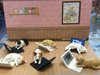 Cat and Laptop Figure Set 6 Pieces (In-stock)