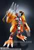 Digivolving Spirits 01 Agumon Wargreymon (Pre-Order)