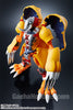 Digivolving Spirits 01 Agumon Wargreymon (Pre-Order)