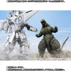 S.H.MonsterArts Godzilla Noriyoshi Ohrai Poster Ver. Limited (Pre-Order)