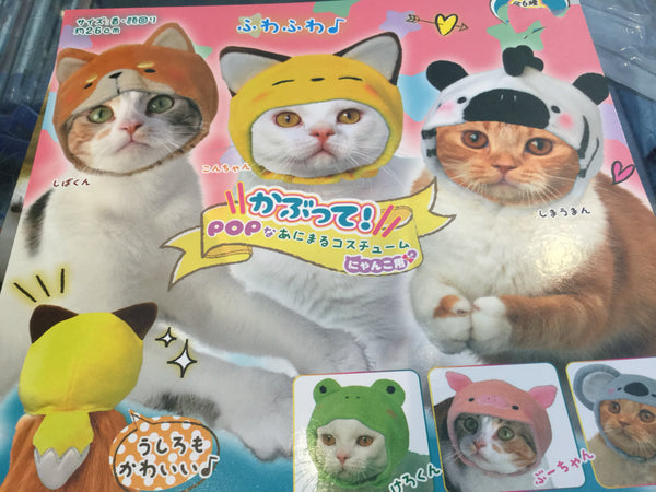 Suitable Hat for Cats 6 Pieces Set (In-stock)