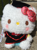 Graduation Hello Kitty Plush