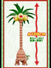 G.G.P Exeggutor Alola Form Limited (Pre-Order)