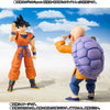 S.H.Figuarts Dragon Ball Master Roshi Kame-Sennin Limited (In-stock)