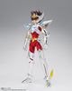 Saint Cloth Myth Pegasus Seiya 15th Anniversary Edition Figure (Pre-Order)