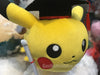 Graduation Pokemon Pikachu Tsum Tsum