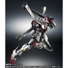 ROBOT Spirit -SIDE MS- Crossbone Gundam X-0 Limited Edition (Pre-order)