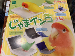 Bird with Books and Technology Figure 6 Pieces Set (In-stock)