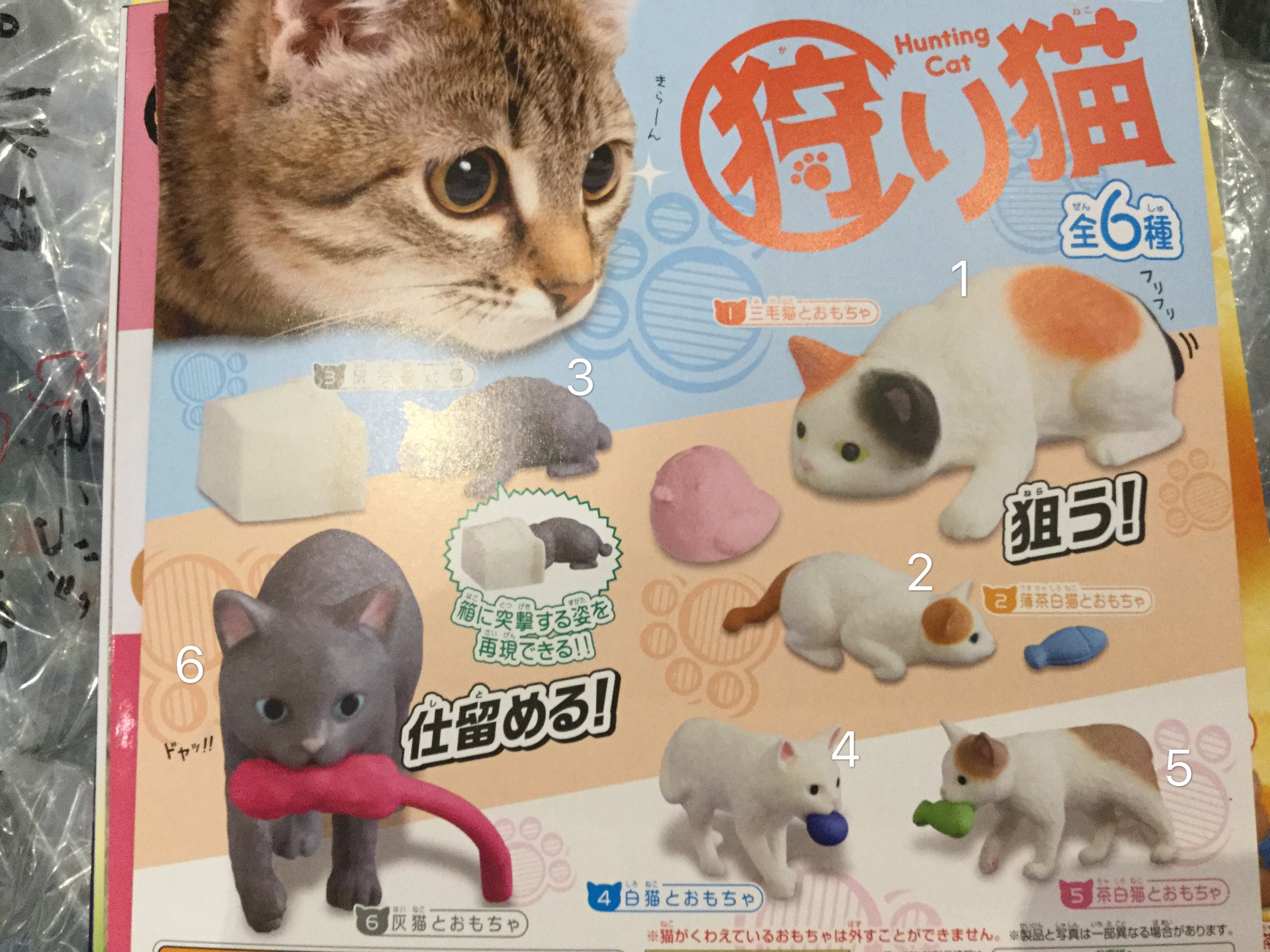 Hunting Cats Gashapon In Stock