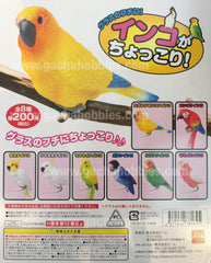Parrot Figure Set 8 pcs
