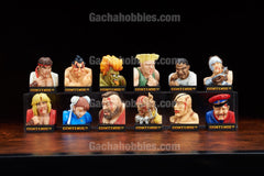 Street Fighter II Trading Figure Makegao Collection Vol.1 12Pack BOX(Pre-order)