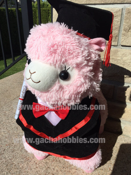 Graduation Alpaca Pink