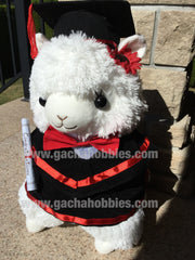 Graduation White Alpaca Medium Plush